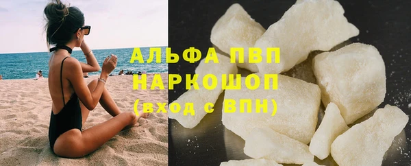 PSILOCYBIN Сясьстрой