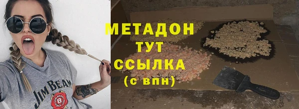 индика Алзамай