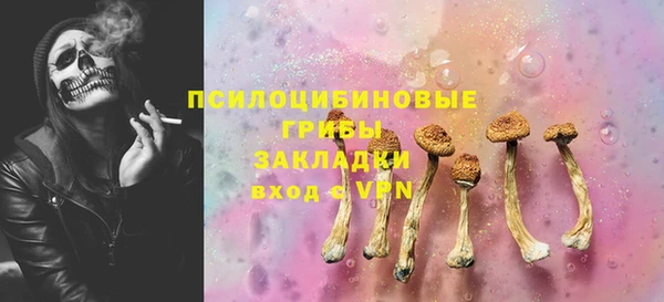 индика Алзамай