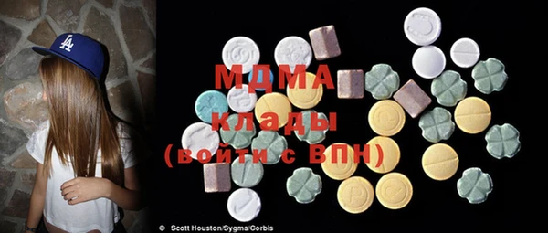 индика Алзамай