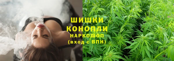 PSILOCYBIN Сясьстрой