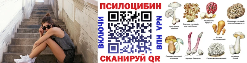 Псилоцибиновые грибы прущие грибы  где найти   Красноярск 